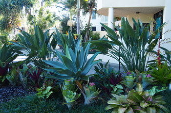 Mirra Chana - Darwin Holiday 12