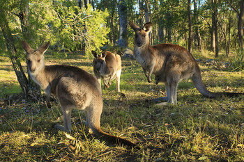 Eagleview Resort - Darwin Holiday 56