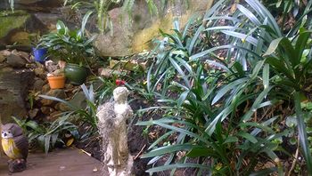 Linley House Bed & Breakfast - Darwin Holiday 4