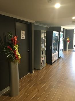 Ibis Budget Casula Liverpool - Darwin Holiday 27