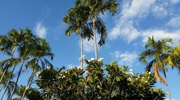 Ibis Styles Katherine - Darwin Holiday 17