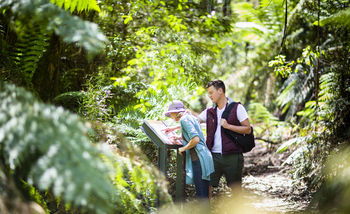 Mountain Element Retreats - Darwin Holiday 10