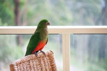 Mountain Element Retreats - Darwin Holiday 13