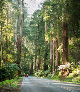Mountain Element Retreats - Darwin Holiday 15