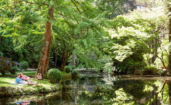 Mountain Element Retreats - Darwin Holiday 17