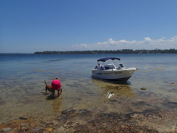 Dungowan Waterfront Apartments - Darwin Holiday 39