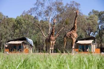 Zoofari Lodge, Taronga Western Plains Zoo - Darwin Holiday 13