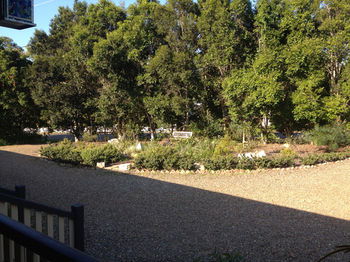 Eumundi Gridley Homestead B&B - Darwin Holiday 1