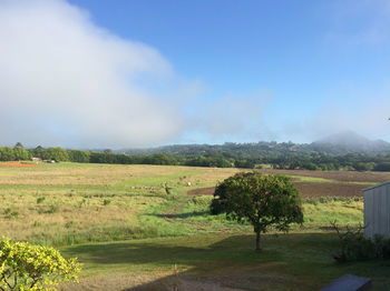 Eumundi Gridley Homestead B&B - Darwin Holiday 6