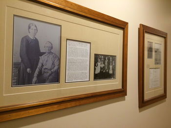 Eumundi Gridley Homestead B&B - Darwin Holiday 7