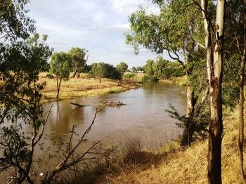 Ranelagh Bed And Breakfast - Darwin Holiday 1