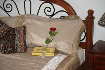 Kingfishers Manor @ Noosa - Darwin Holiday 16