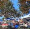 Alex Beach Cabins - Darwin Holiday