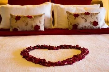 Montville Misty View Cottages - Darwin Holiday 10