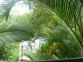 Chez Noosa Resort Motel - Darwin Holiday 29