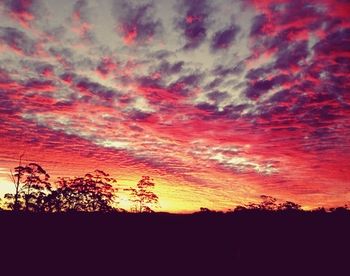 The Spotted Chook - Darwin Holiday 15