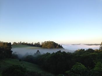 The Spotted Chook - Darwin Holiday 16