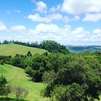 The Spotted Chook - Darwin Holiday 23
