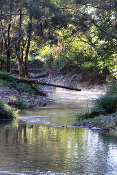 Yabbaloumba Retreat - Darwin Holiday 5