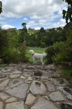 Coverdales B & B At Eumundi - Darwin Holiday 23