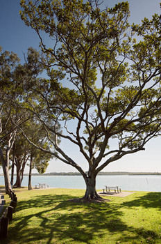 Langley Park Apartments - Darwin Holiday 5