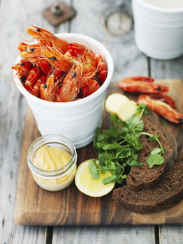 Watsons Bay Boutique Hotel - Darwin Holiday 29