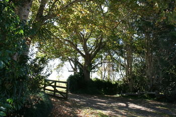 Maleny Mountain Retreat - Darwin Holiday 2