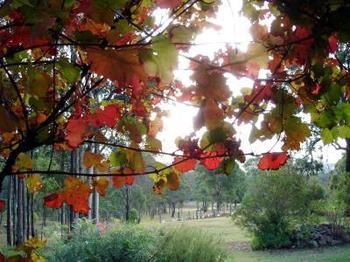 Elfin Hill Country Accommodation - Darwin Holiday 0