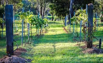 Elfin Hill Country Accommodation - Darwin Holiday 14