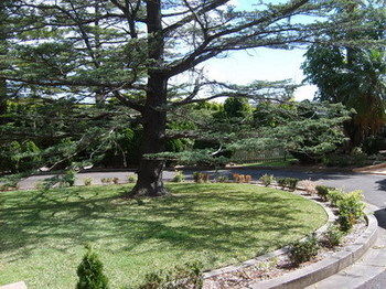 Tantarra Bed And Breakfast - Darwin Holiday 14