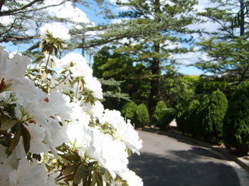 Tantarra Bed And Breakfast - Darwin Holiday 15