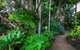 Maleny Tropical Retreat Balinese B&b - thumb 11