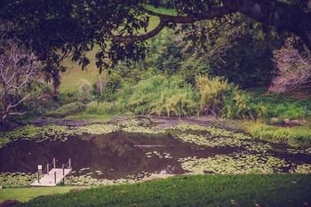 Allara Homestead - Darwin Holiday 5