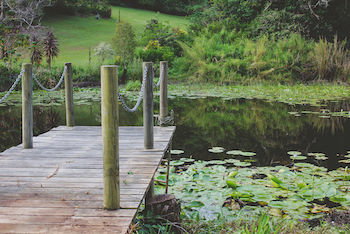 Allara Homestead - Darwin Holiday 14