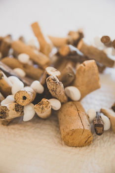 Allara Homestead - Darwin Holiday 23