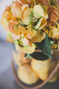 Allara Homestead - Darwin Holiday 30