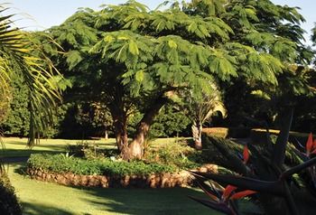 Peppertree Cottage - Darwin Holiday 10