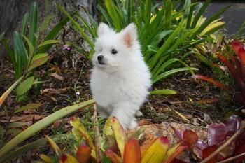 Mapleton Cabins & Caravan Park - Darwin Holiday 8