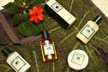 Mapleton Cabins & Caravan Park - Darwin Holiday 31