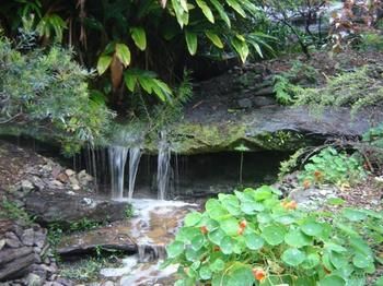 Beachview Homestay - Darwin Holiday 5