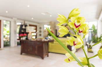 Alaya Verde - Darwin Holiday 29