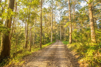 Alaya Verde - Darwin Holiday 34