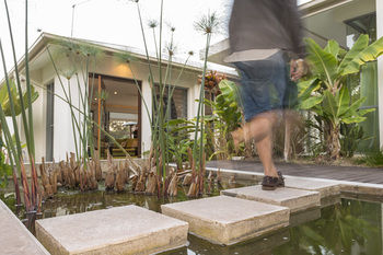 Alaya Verde - Darwin Holiday 40