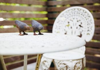 Strathvea Guest House - Darwin Holiday 19