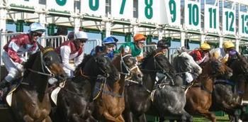 Hawkesbury Race Club Motel - Darwin Holiday 13