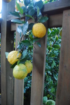 Highclaire House Bed And Breakfast - Darwin Holiday 27