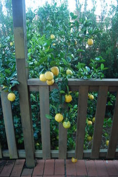 Highclaire House Bed And Breakfast - Darwin Holiday 28