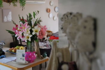 Highclaire House Bed And Breakfast - Darwin Holiday 32