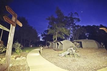 Billabong Camp, Taronga Western Plains Zoo - Darwin Holiday 12