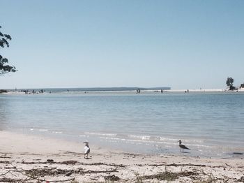 Huskisson Beach Bed And Breakfast - Darwin Holiday 3